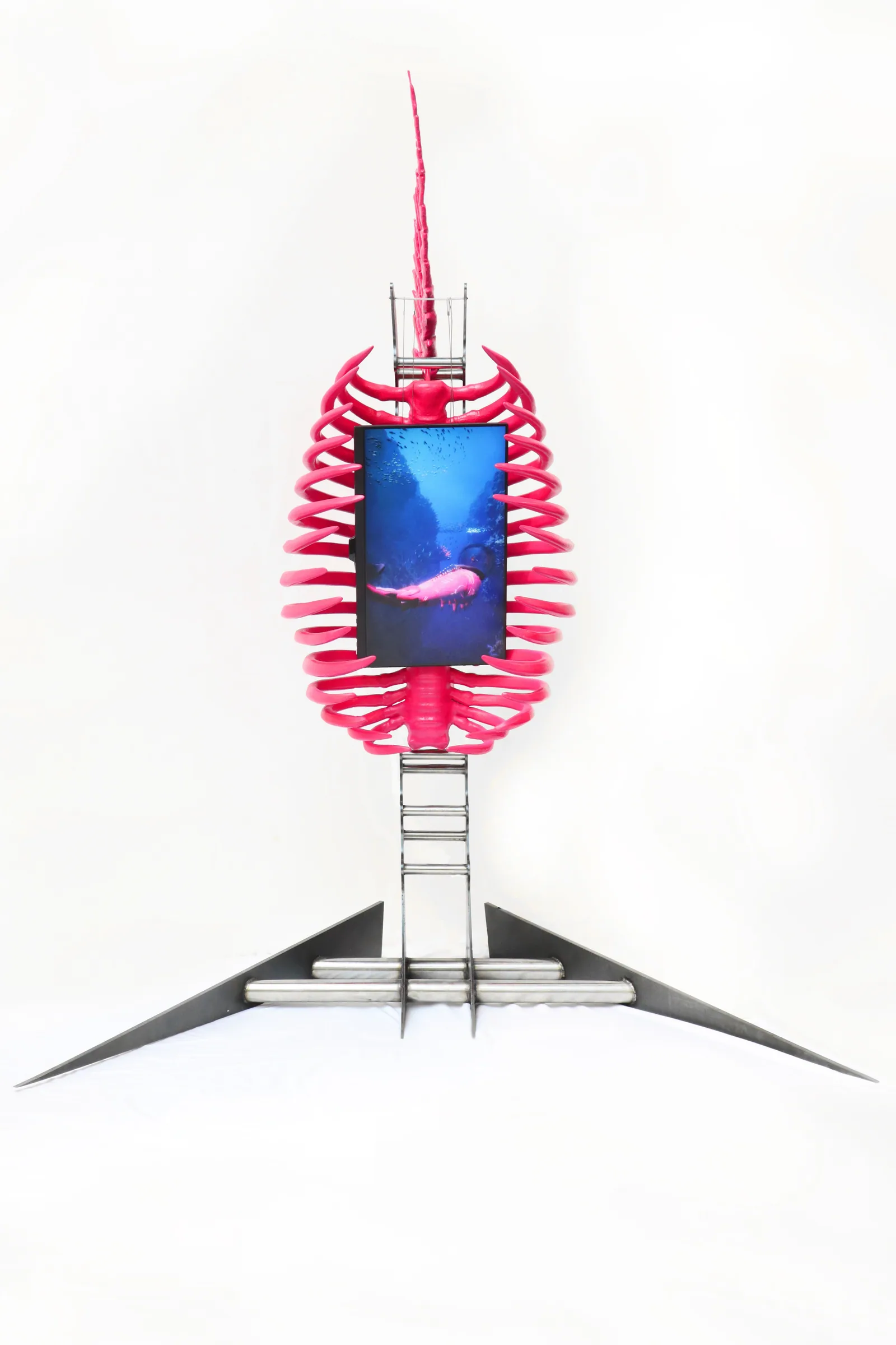 Front view of the pink skeletal Let My Goldfish Go installation