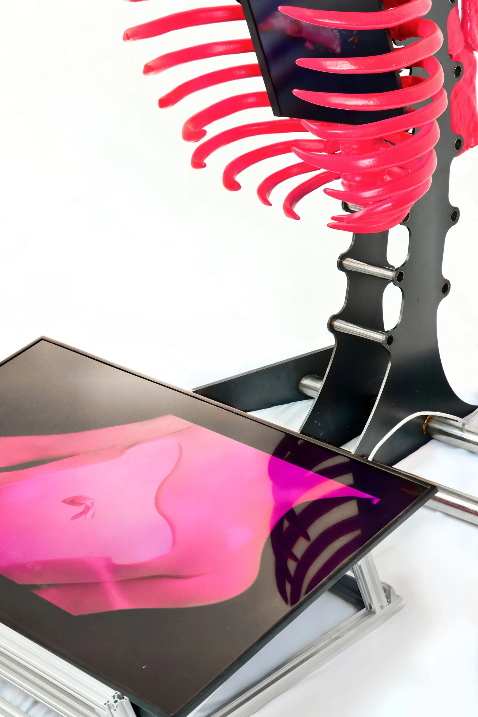 Detail of the pink ribs and screen within the installation