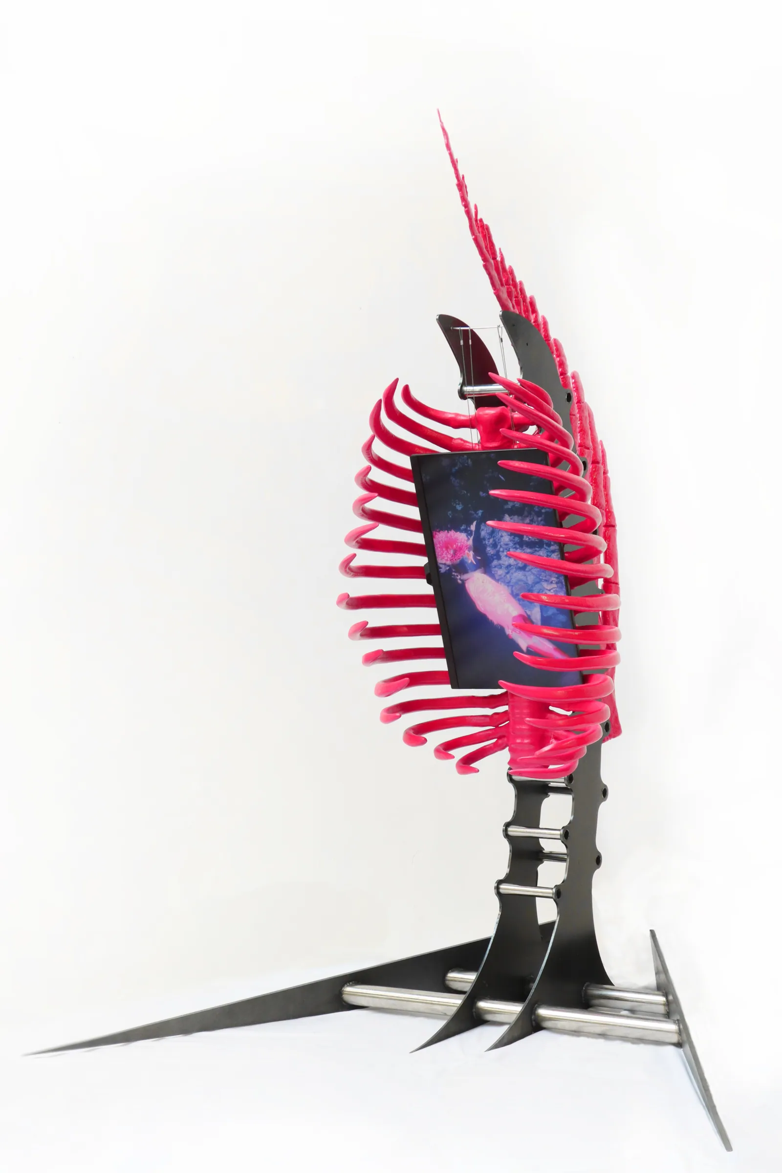 Side view of the pink skeletal installation